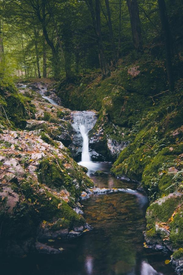 Domecek Na Kvetinovem Statku Villa Zdice Dış mekan fotoğraf